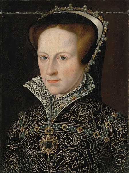 education under mary tudor beasles|mary tudor.